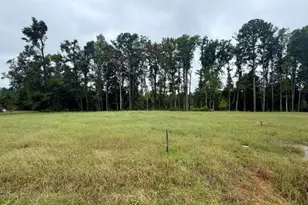 1041 Nor-Am Rd, Pikeville, NC 27863 - Photo 1