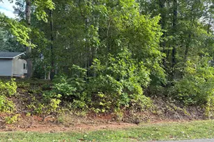 115 Blackfoot Dr, Louisburg, NC 27549 - Photo 1