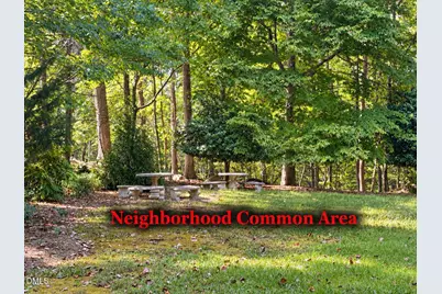 337 Chatham Drive, Chapel Hill, NC 27516 - Photo 38