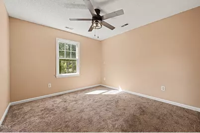 3123 Pearson Road, Hurdle Mills, NC 27541 - Photo 20