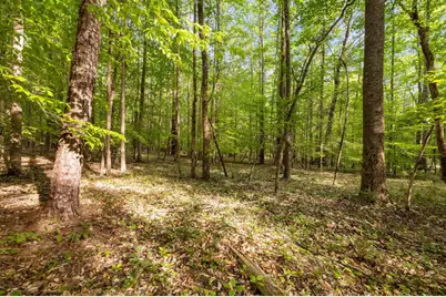 2A Union Grove Church Road, Chapel Hill, NC 27516 - Photo 4