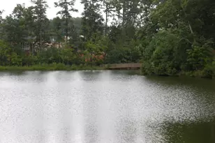 222 Eyam Hall Ln, Apex, NC 27502 - Photo 30