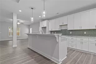 816 Red Hawk Pl, Vass, NC 28394 - Photo 10