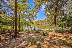 329 Silver Grove Church Rd, Rockingham, NC 28379 - Photo 36