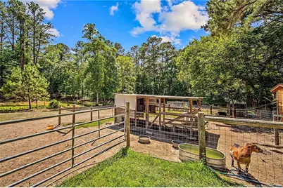 329 Silver Grove Church Road, Rockingham, NC 28379 - Photo 8