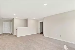 229 Palomo Pl, Raeford, NC 28376 - Photo 22