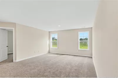 229 Palomo Place, Raeford, NC 28376 - Photo 20