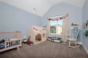 284 Weston Woods St, Raeford, NC 28376 - Photo 30