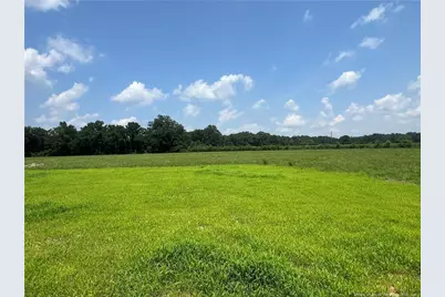 92 Dalton Drive, Lumber Bridge, NC 28357 - Photo 18