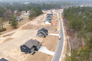 71 Persimmon Tree Dr, Cameron, NC 28326 - Photo 46