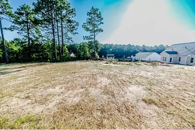 30 Blackgum Court, Spring Lake, NC 28390 - Photo 32