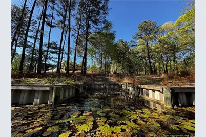 864 Vic Keith Road, Sanford, NC 27332 - Photo 10