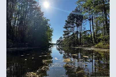 864 Vic Keith Road, Sanford, NC 27332 - Photo 6