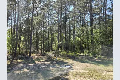 000 S Main Street, Hope Mills, NC 28348 - Photo 1