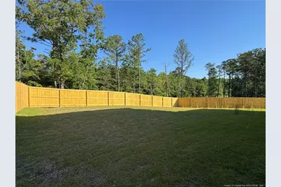 317 Harborwood Street, Lillington, NC 27546 - Photo 2