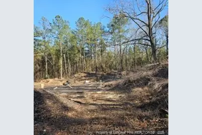 737 N Vass Road, Raeford, NC 28376 - Photo 6