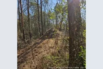 737 N Vass Road, Raeford, NC 28376 - Photo 4