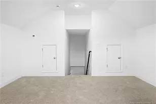 206 Uwharrie Wy, Sanford, NC 27330 - Photo 44