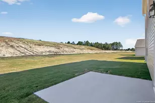 668 Wilder Bloom Path, Aberdeen, NC 28315 - Photo 40