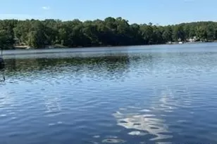 1536 Louisiana Ln, Sanford, NC 27332 - Photo 6