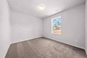 29 Horse Trot Ln, Sanford, NC 27332 - Photo 22