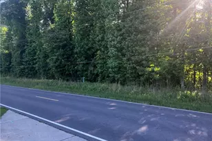 0 Lemon Springs Rd, Sanford, NC 27332 - Photo 1