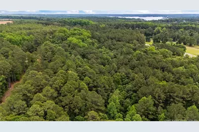 111 Millstone Court, West End, NC 27376 - Photo 4