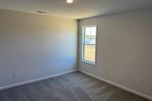 68 Mossy Brg Ct, Lillington, NC 27546 - Photo 18