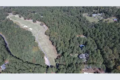 409 Thimbleberry Drive, Vass, NC 28394 - Photo 48