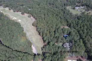 409 Thimbleberry Dr, Vass, NC 28394 - Photo 48