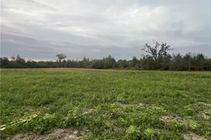 4025 Blue Springs Rd, Red Springs, NC 28377 - Photo 18