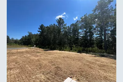 528 Traveller Way, Raeford, NC 28376 - Photo 22