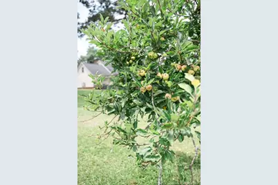 2847 Pickard Rd. Road, Sanford, NC 27330 - Photo 38