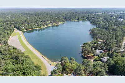 103 Sandspur Lane, West End, NC 27376 - Photo 50