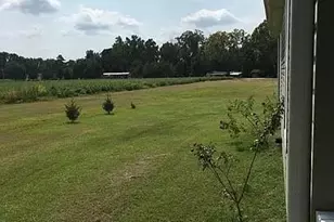 9167 Deep Branch Rd, Pembroke, NC 28372 - Photo 8