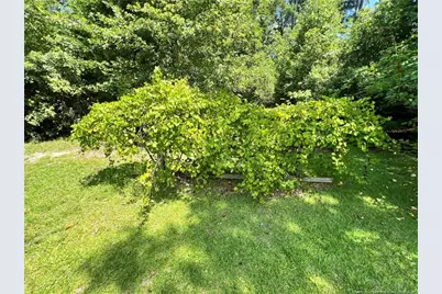 510 Arrington Street, Rowland, NC 28383 - Photo 14