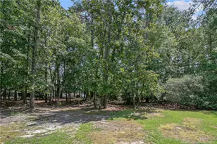 51 Casablanca Ct, Sanford, NC 27332 - Photo 50