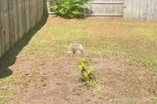 404 Bayberry Ct, Fayetteville, NC 28314 - Photo 4