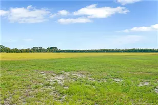 1329 Magnolia Church Rd, Stedman, NC 28351 - Photo 30