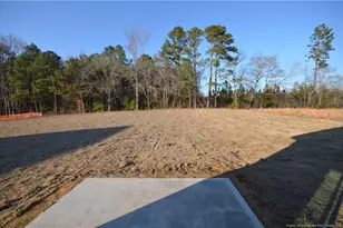 369 Hookbill Ln Lot 26, Lillington, NC 27546 - Photo 22
