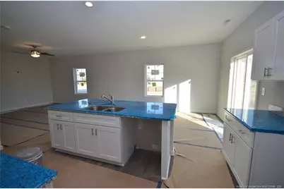 372 Hookbill (Lot 106) Lane, Lillington, NC 27546 - Photo 8