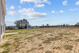 441 Black Duck Ln, Lillington, NC 27546 - Photo 32