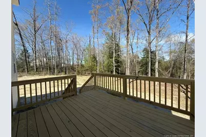 416 Black Duck Lane, Lillington, NC 27546 - Photo 30