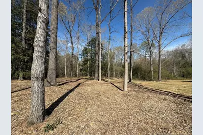 416 Black Duck Lane, Lillington, NC 27546 - Photo 32