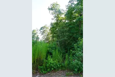 Lot 6 Lakeview Drive, Red Springs, NC 28377 - Photo 2