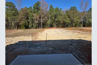 339 Hookbill (Lot 24) Lane, Lillington, NC 27546 - Photo 6