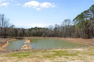 339 Hookbill Ln, Lillington, NC 27546 - Photo 36
