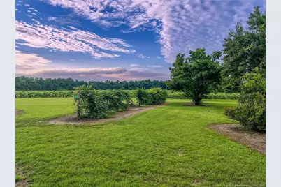2616 Nc 41, Lumberton, NC 28358 - Photo 24