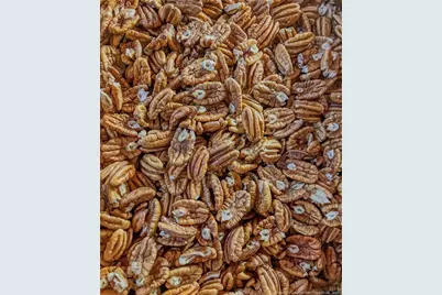 2616 Nc 41, Lumberton, NC 28358 - Photo 32