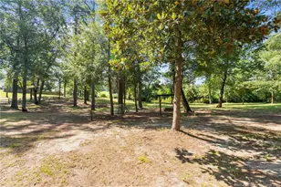 255 Sarason Pl, Vass, NC 28394 - Photo 46